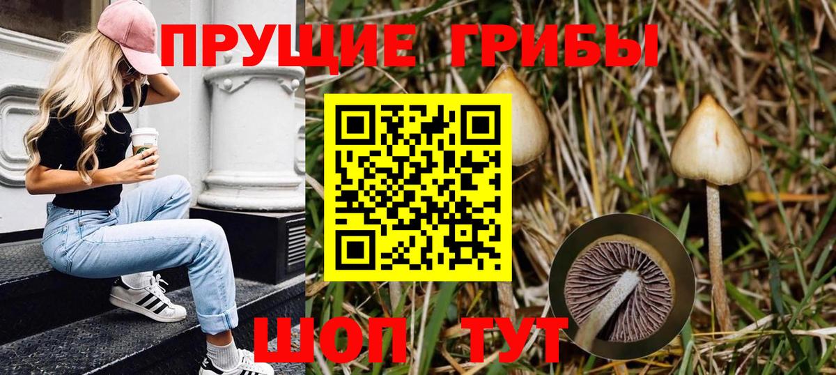 Галлюциногенные грибы прущие грибы Зима