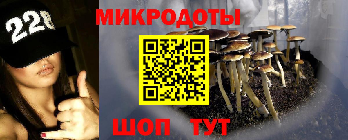 Псилоцибиновые грибы Cubensis  Вход с VPN  купить наркотики сайты  Зима  Псилоцибиновые грибы Magic Shrooms 